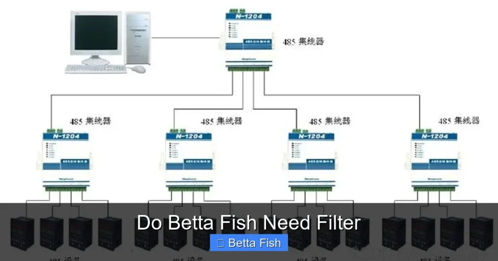 Do Betta Fish Need Filter