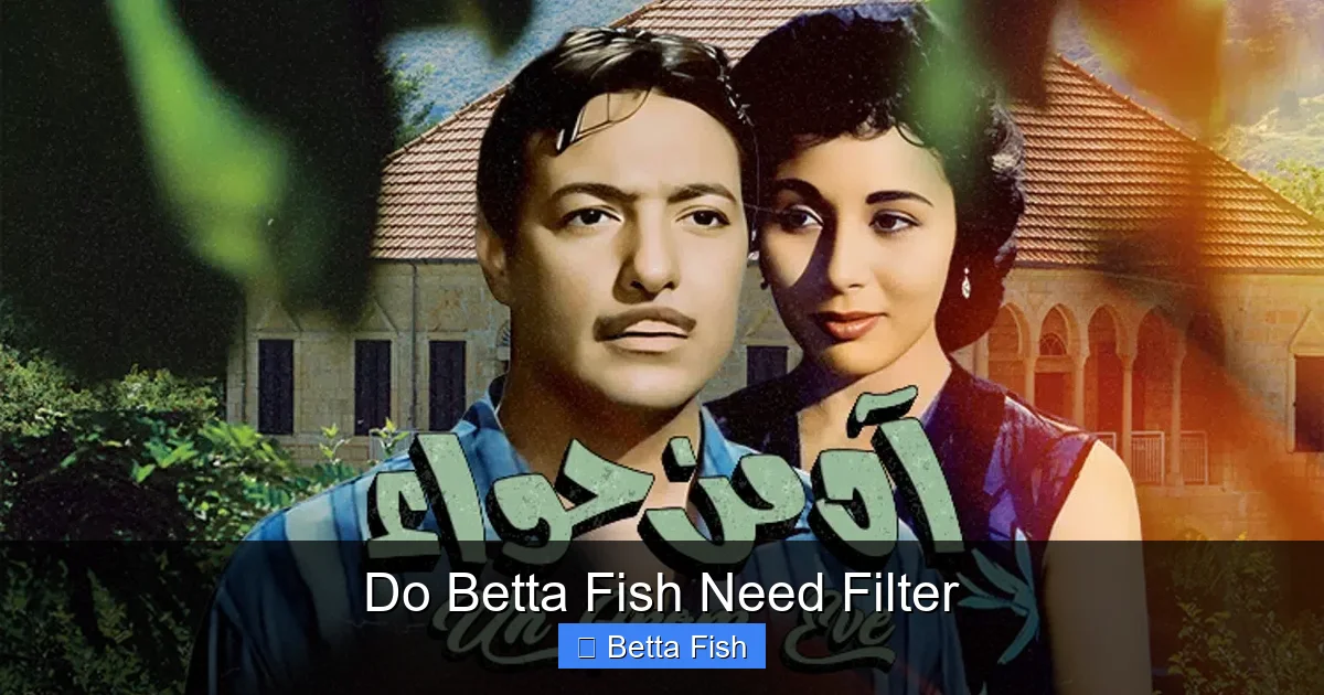Do Betta Fish Need Filter