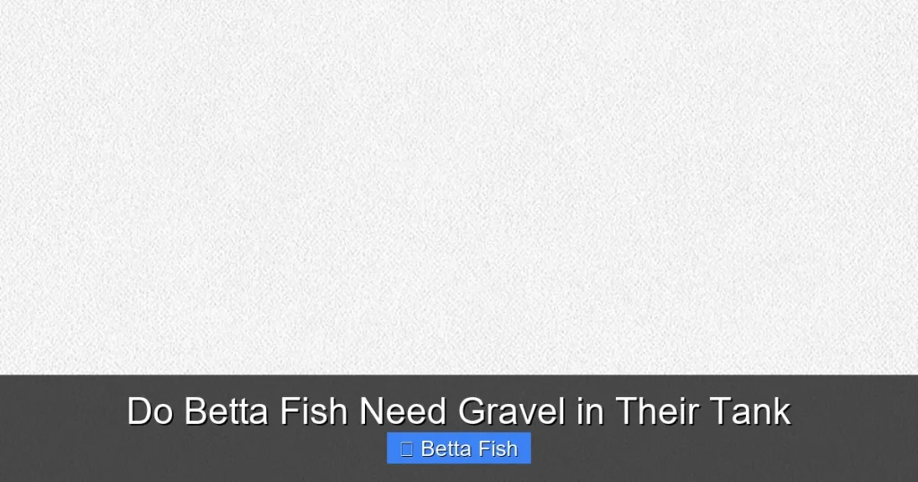 Do Betta Fish Need Gravel in Their Tank