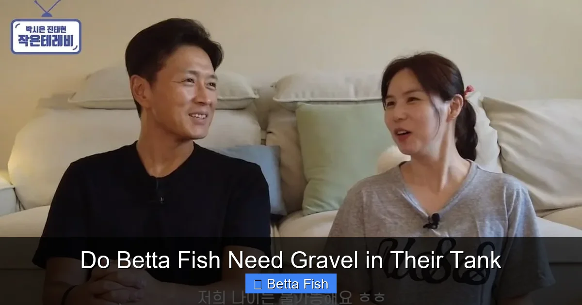 Do Betta Fish Need Gravel in Their Tank