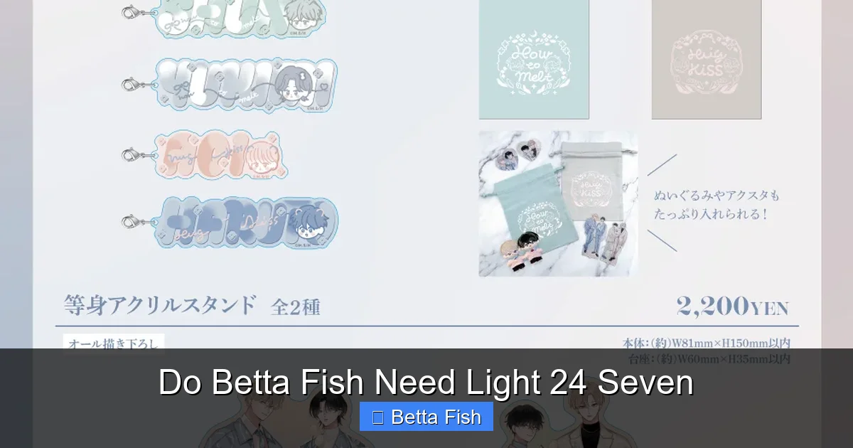 Do Betta Fish Need Light 24 Seven
