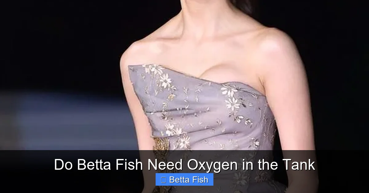 Do Betta Fish Need Oxygen in the Tank