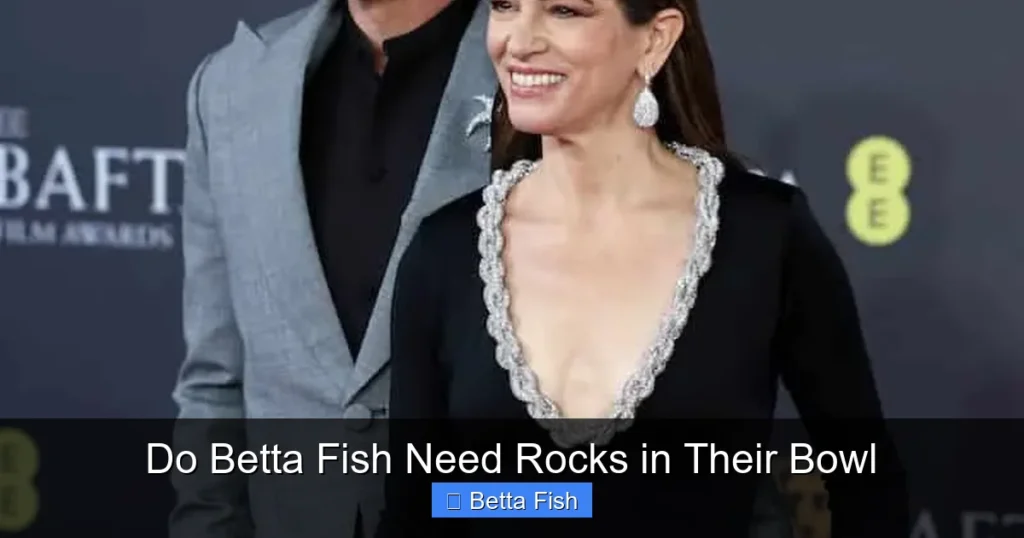 Do Betta Fish Need Rocks in Their Bowl