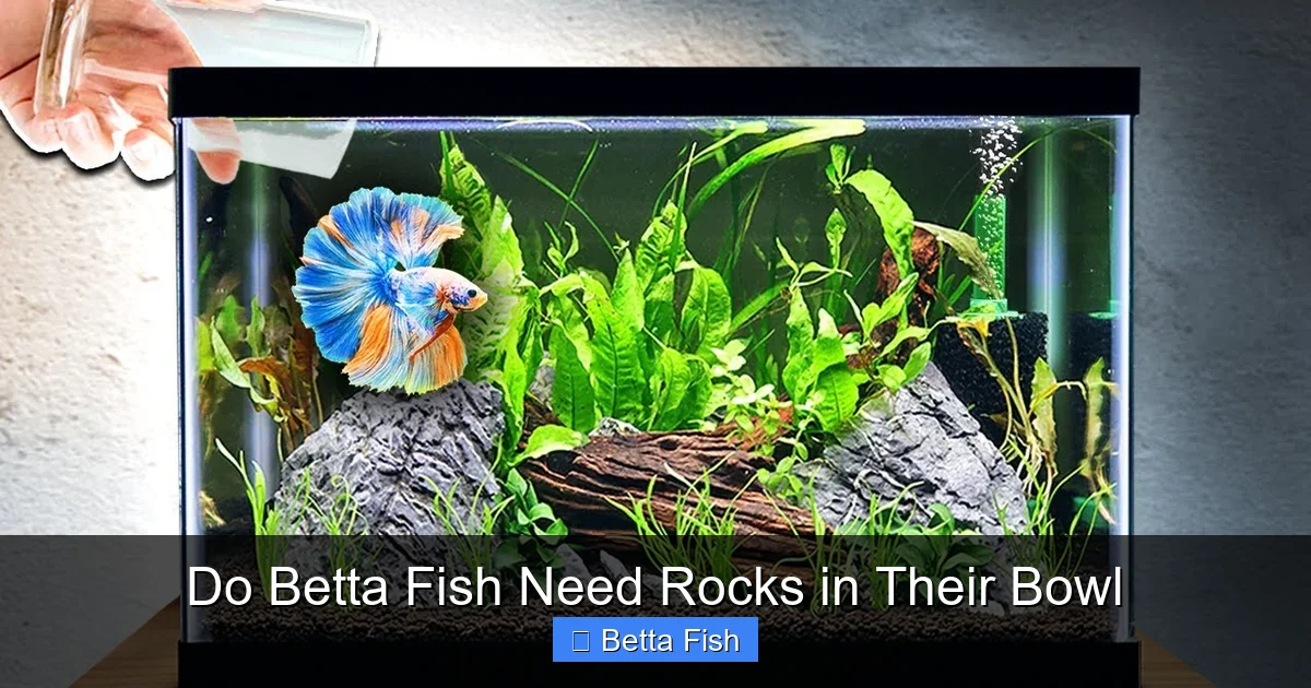 Do Betta Fish Need Rocks in Their Bowl