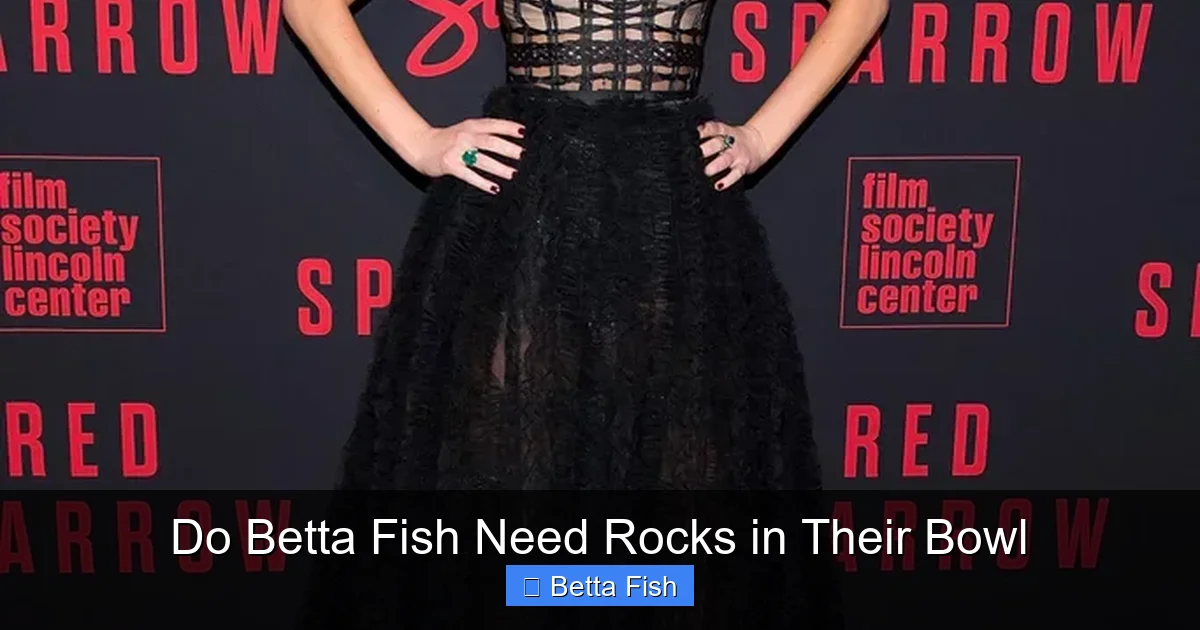 Do Betta Fish Need Rocks in Their Bowl