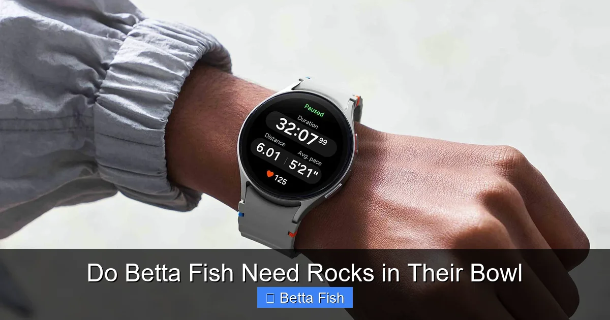 Do Betta Fish Need Rocks in Their Bowl