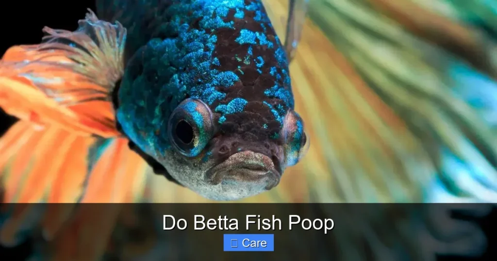 Do Betta Fish Poop