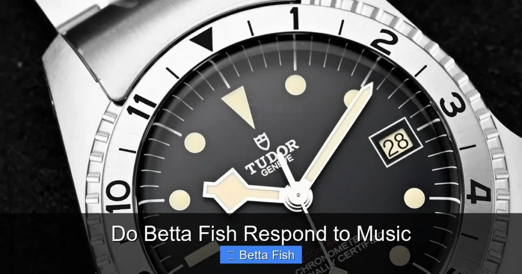 Do Betta Fish Respond to Music