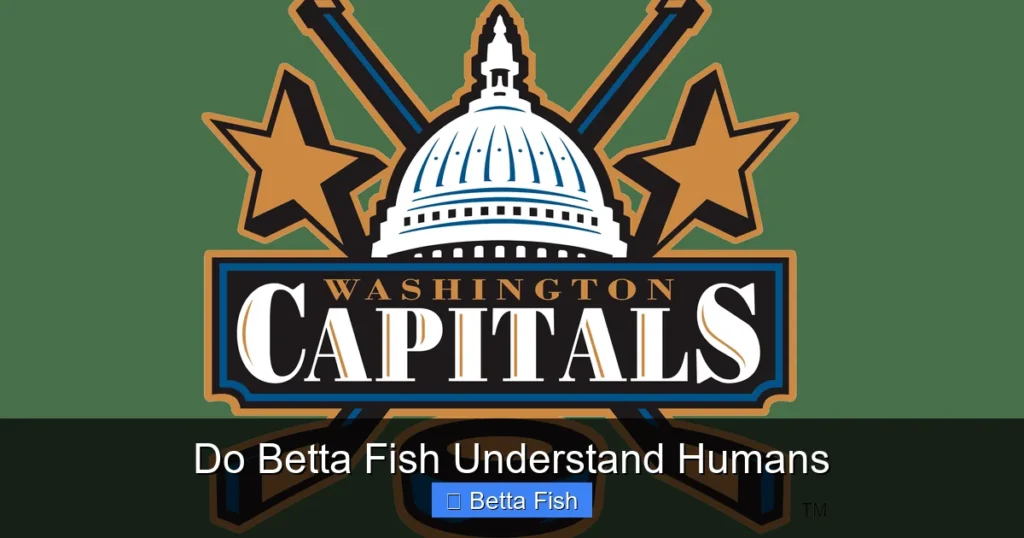 Do Betta Fish Understand Humans