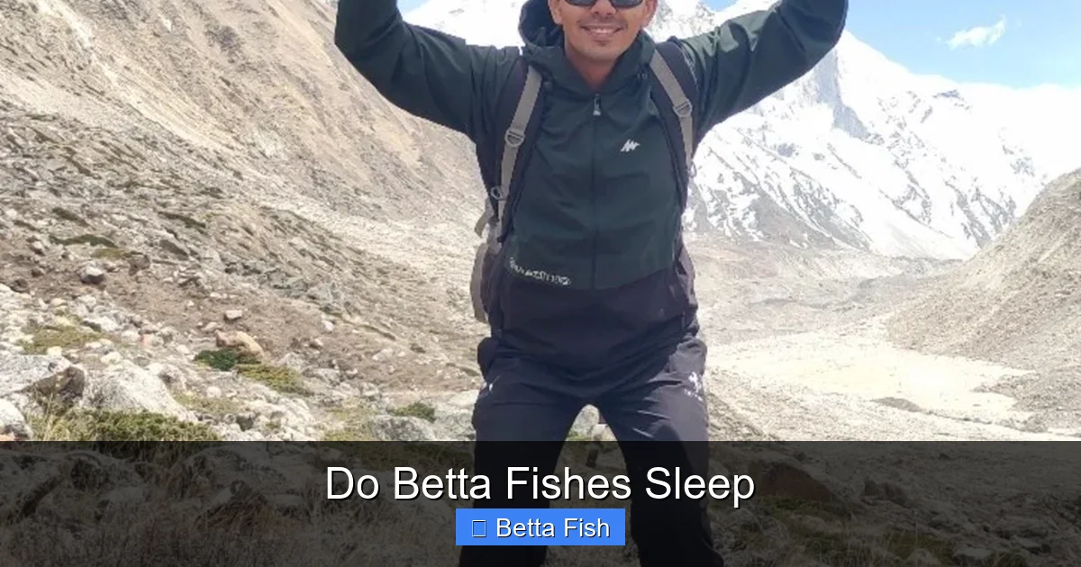 Do Betta Fishes Sleep