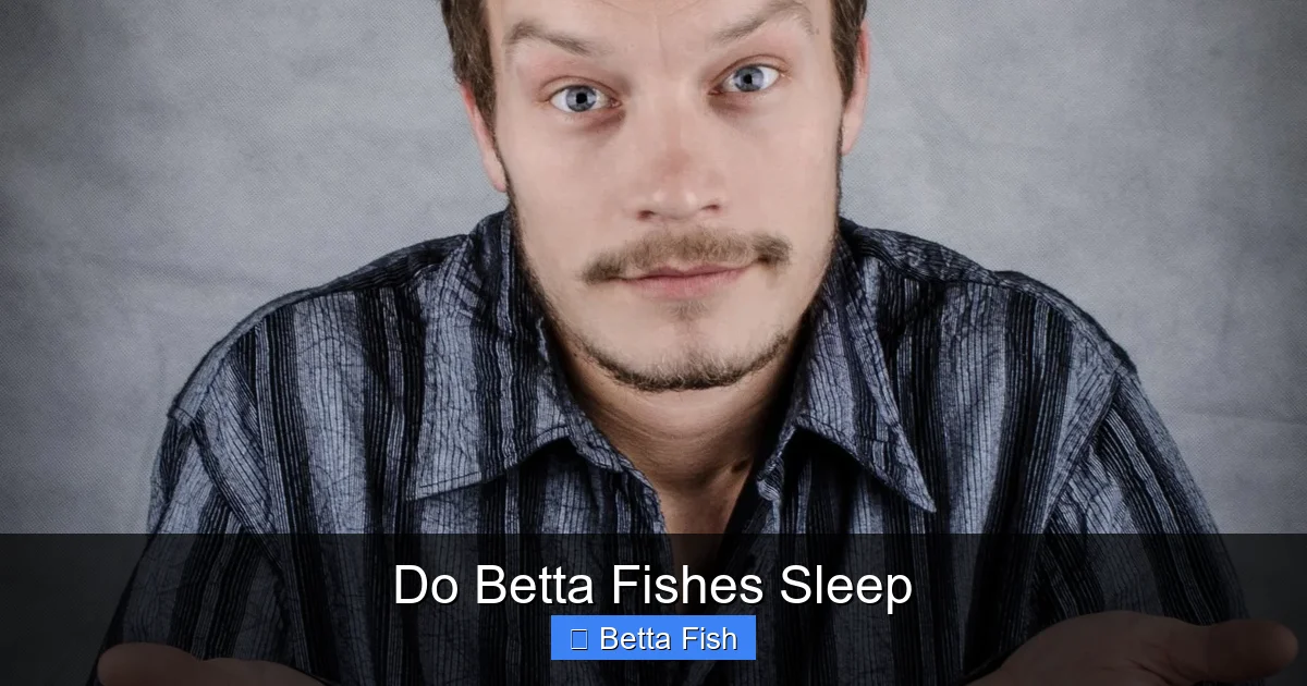 Do Betta Fishes Sleep