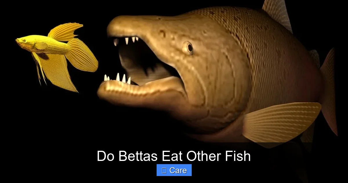 Do Bettas Eat Other Fish