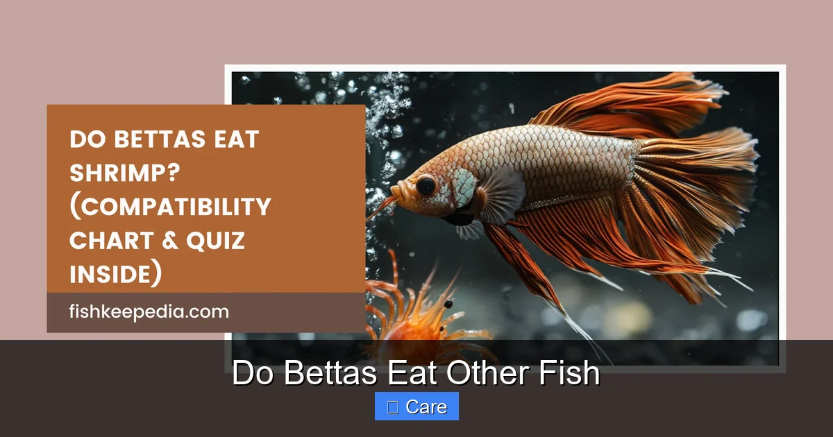 Do Bettas Eat Other Fish