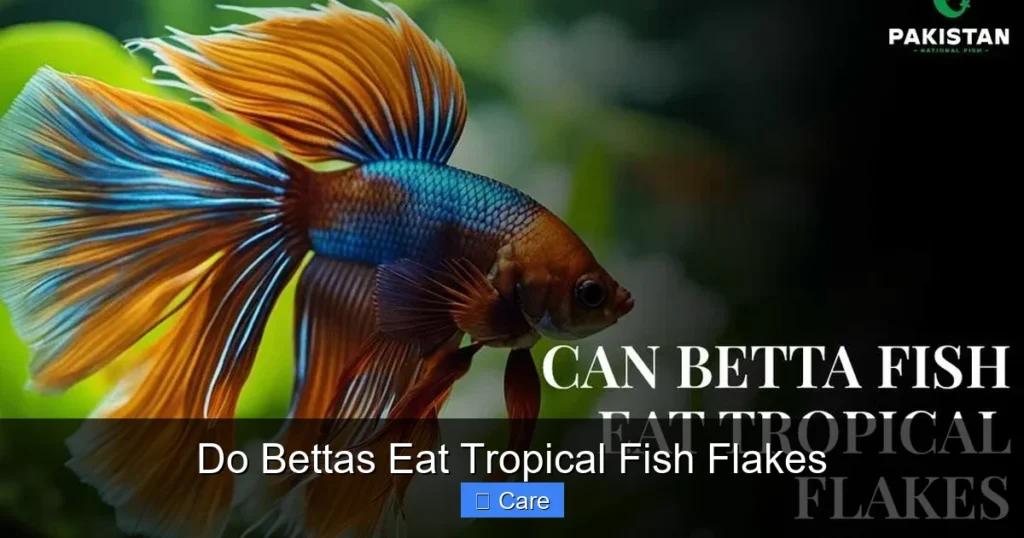 Do Bettas Eat Tropical Fish Flakes