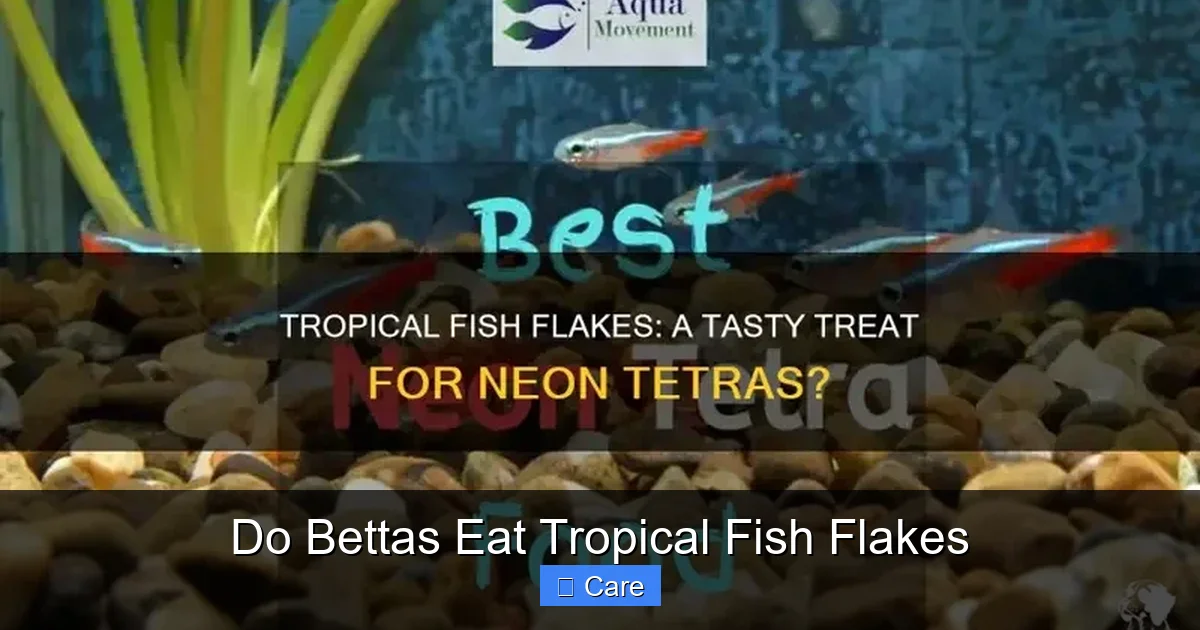 Do Bettas Eat Tropical Fish Flakes