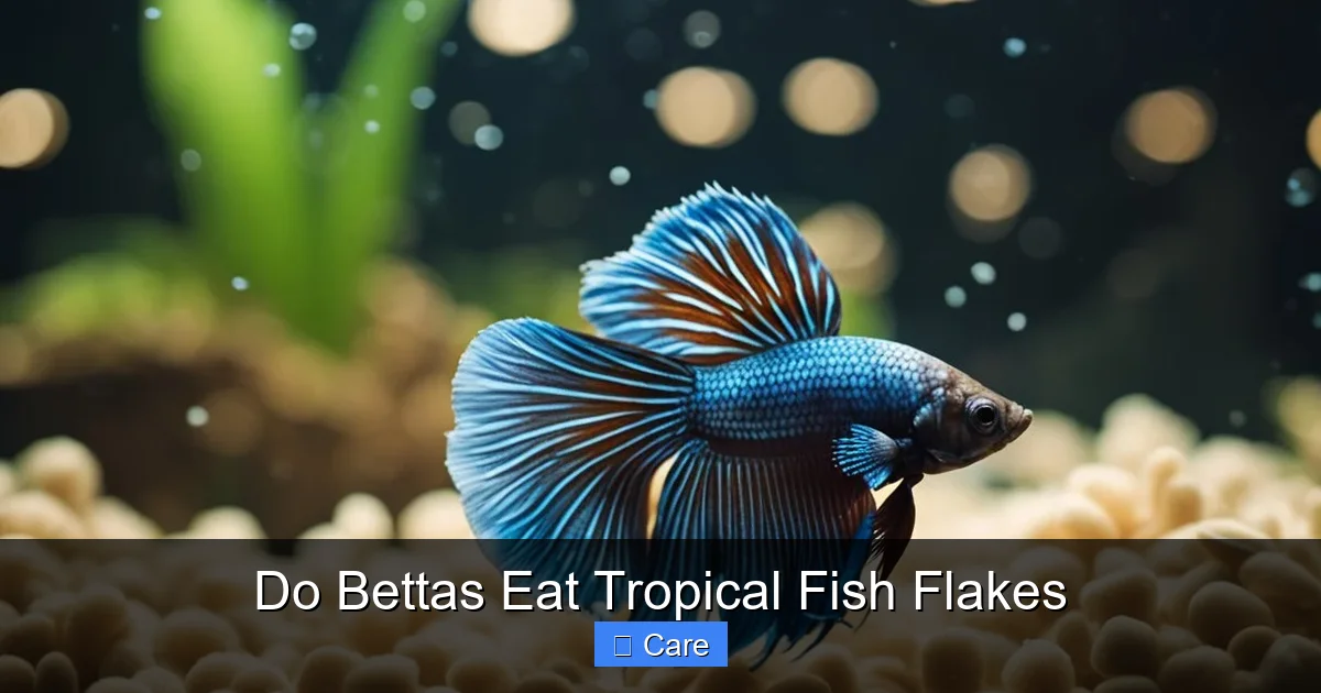Do Bettas Eat Tropical Fish Flakes