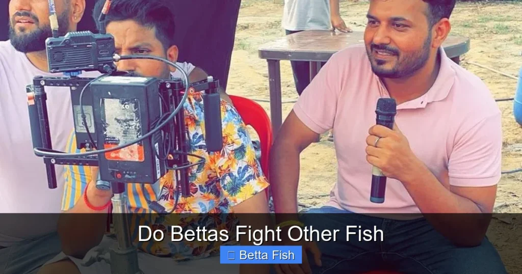 Do Bettas Fight Other Fish