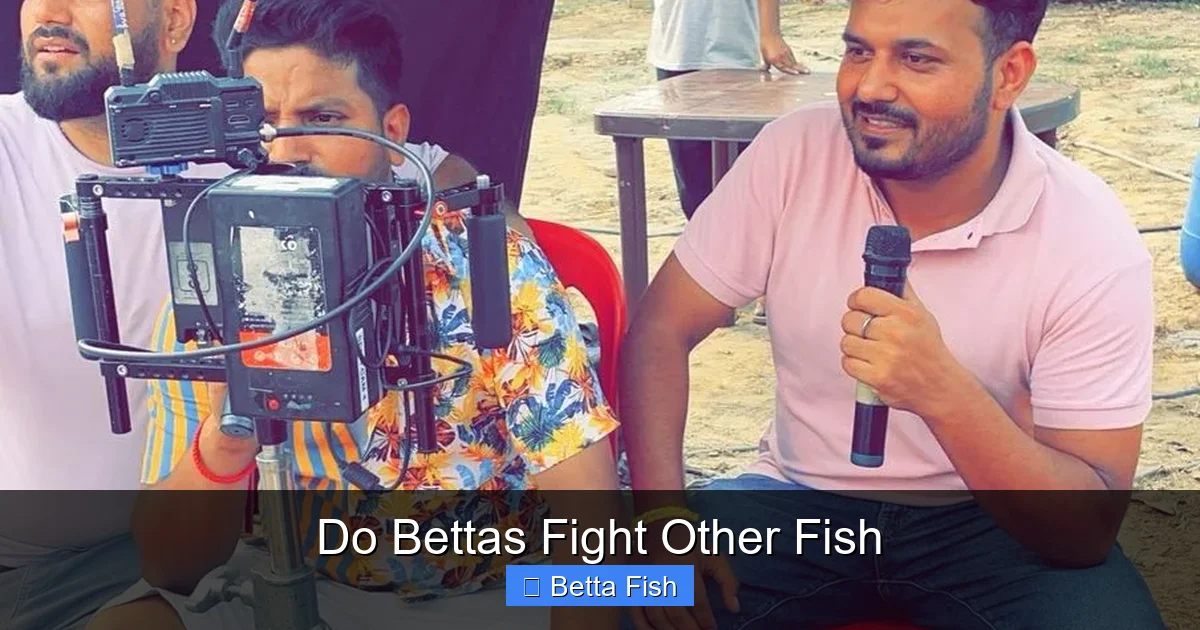 Do Bettas Fight Other Fish