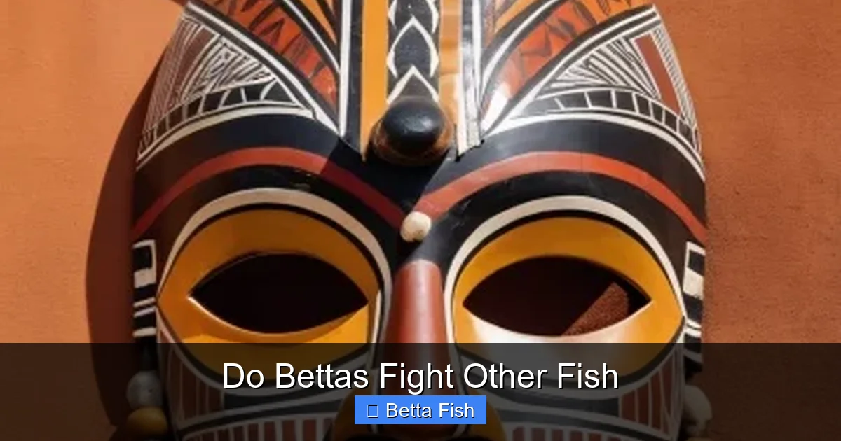 Do Bettas Fight Other Fish
