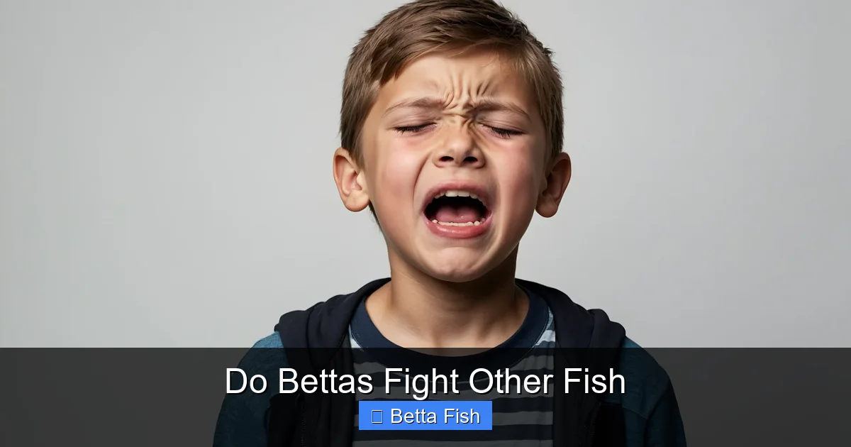 Do Bettas Fight Other Fish