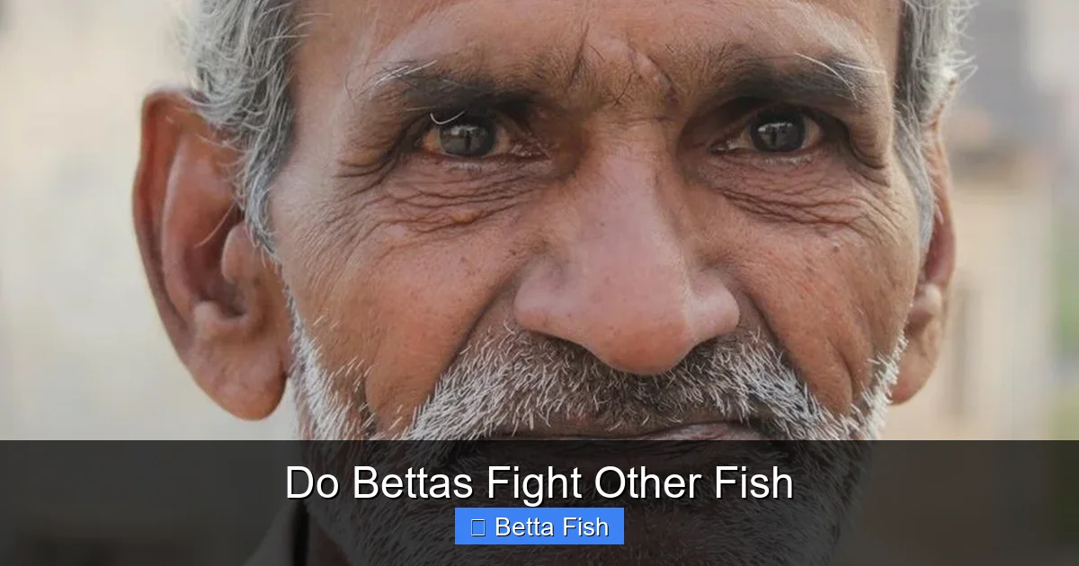 Do Bettas Fight Other Fish