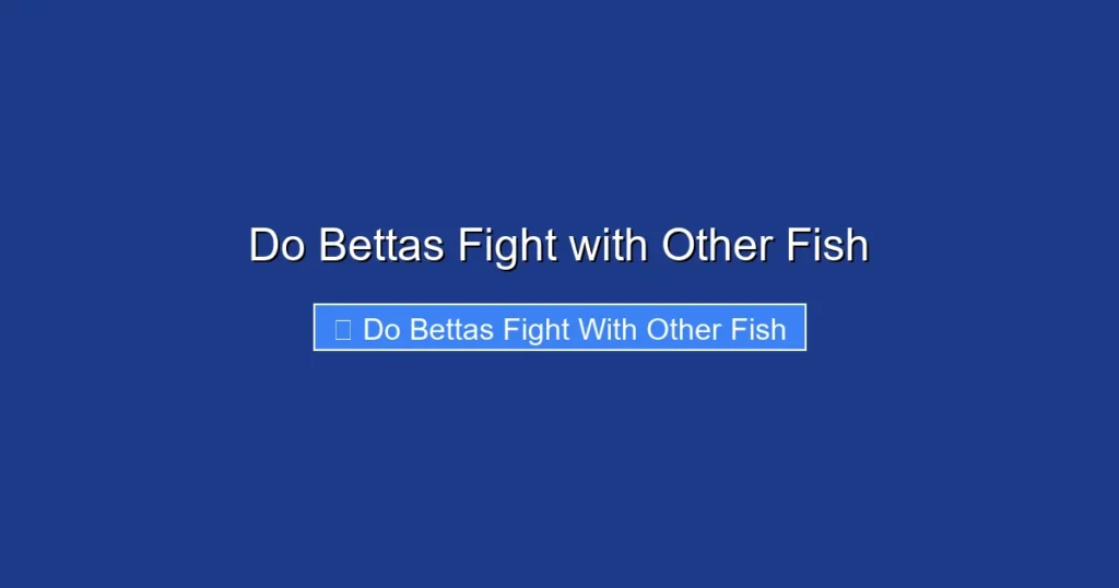 Do Bettas Fight with Other Fish