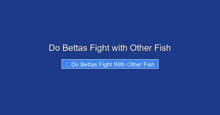 Do Bettas Fight with Other Fish
