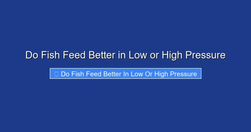 Do Fish Feed Better in Low or High Pressure
