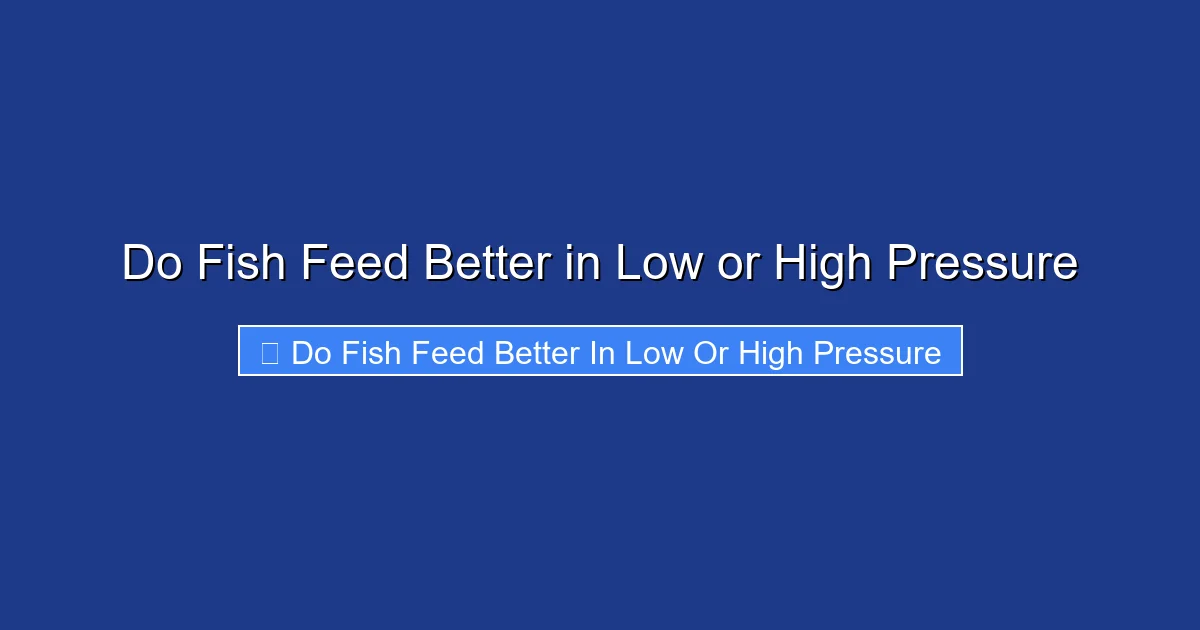 Do Fish Feed Better in Low or High Pressure