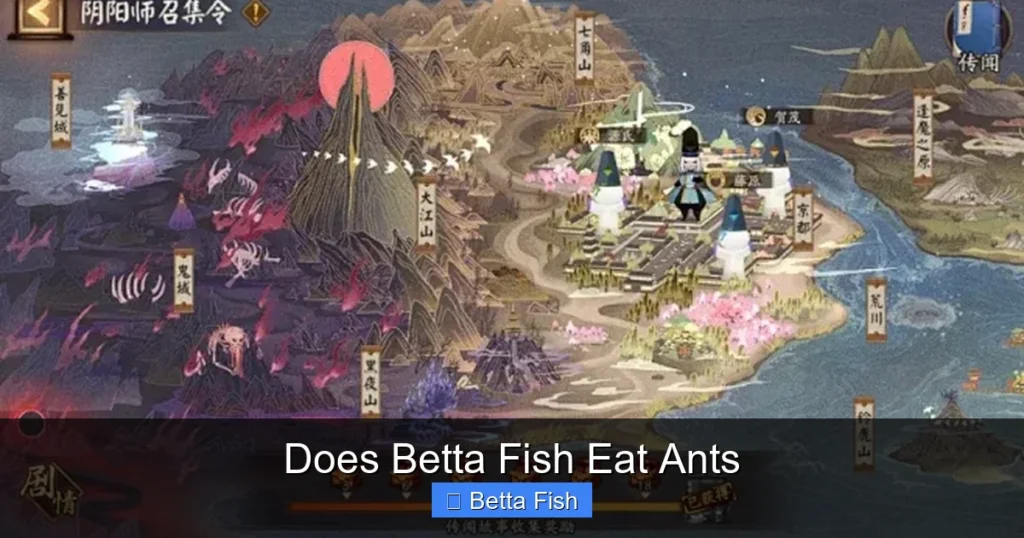 Does Betta Fish Eat Ants