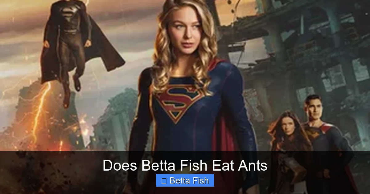 Does Betta Fish Eat Ants