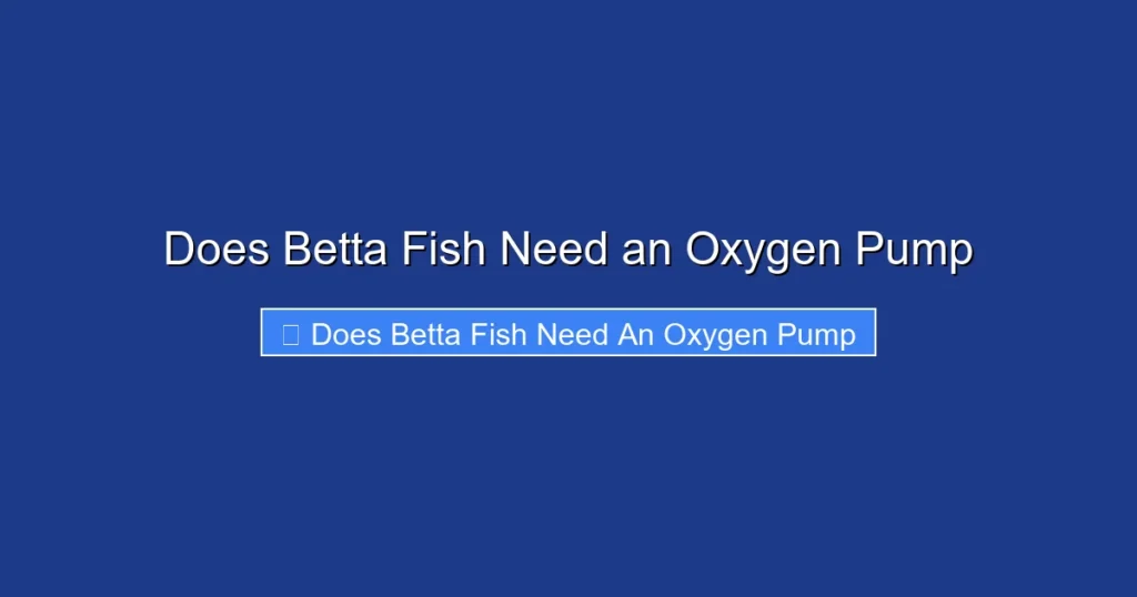Does Betta Fish Need an Oxygen Pump