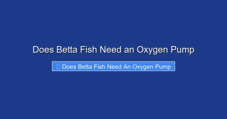 Does Betta Fish Need an Oxygen Pump