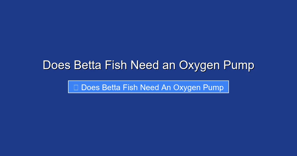 Does Betta Fish Need an Oxygen Pump