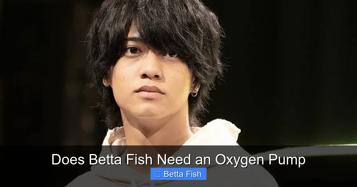 Does Betta Fish Need an Oxygen Pump