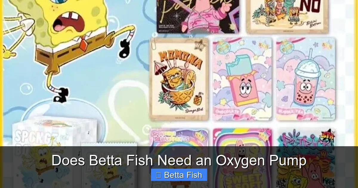 Does Betta Fish Need an Oxygen Pump