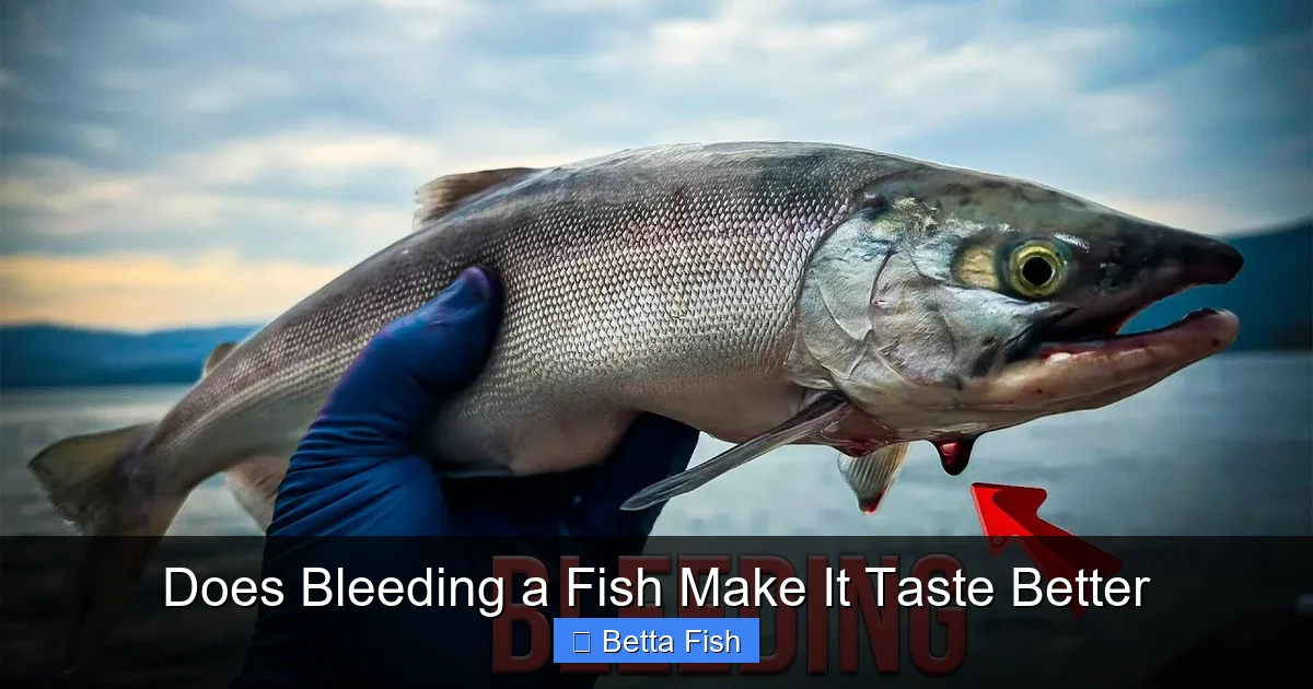 Does Bleeding a Fish Make It Taste Better