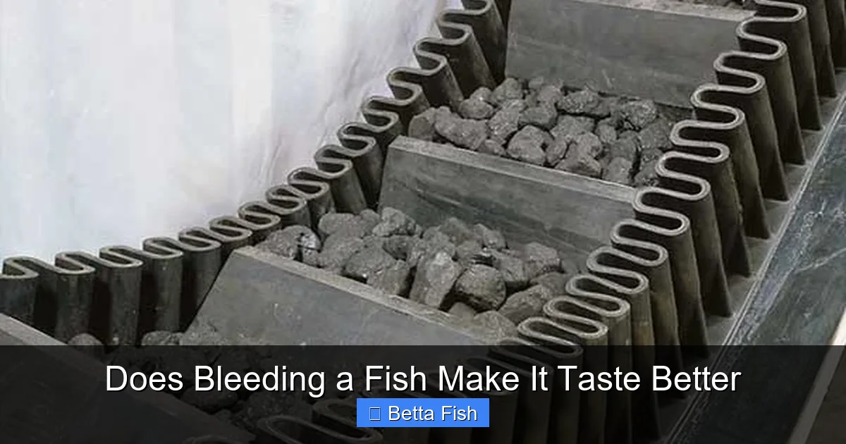 Does Bleeding a Fish Make It Taste Better