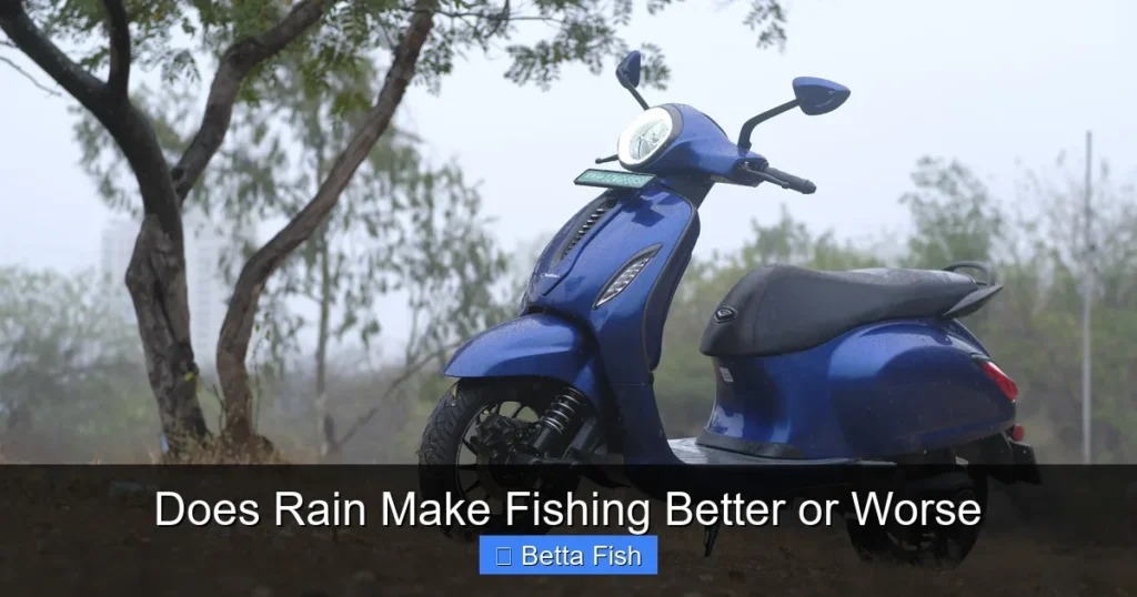 Does Rain Make Fishing Better or Worse