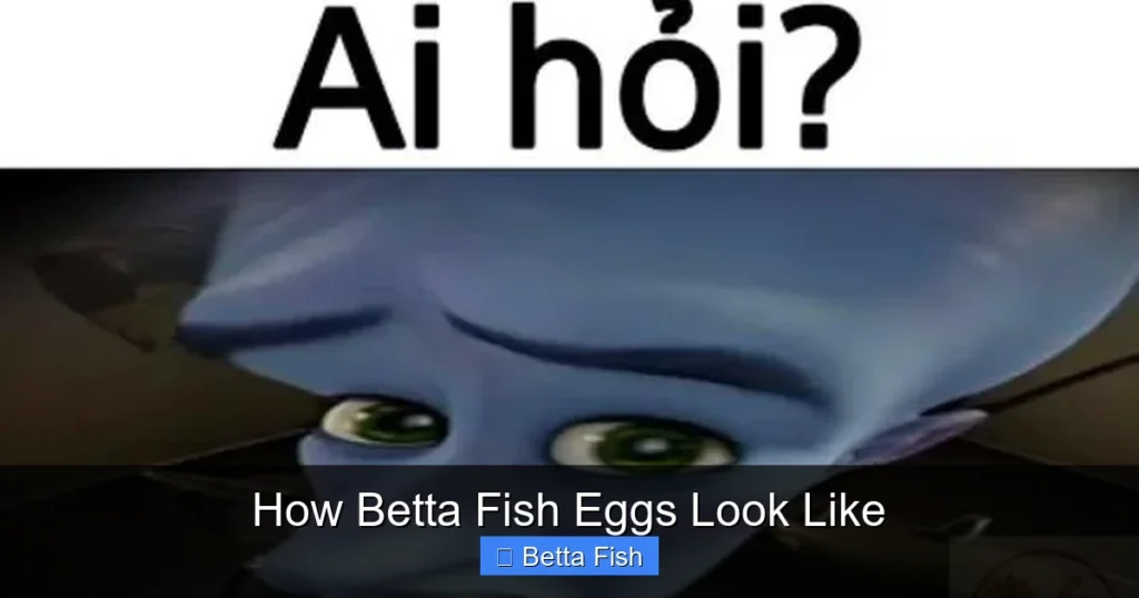 How Betta Fish Eggs Look Like