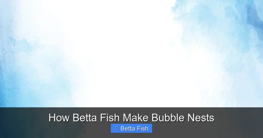 How Betta Fish Make Bubble Nests