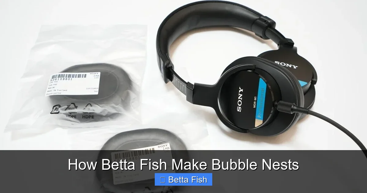How Betta Fish Make Bubble Nests