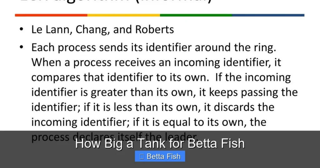 How Big a Tank for Betta Fish