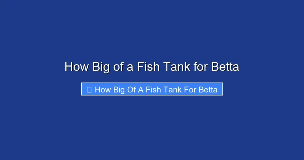 How Big of a Fish Tank for Betta