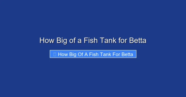How Big of a Fish Tank for Betta