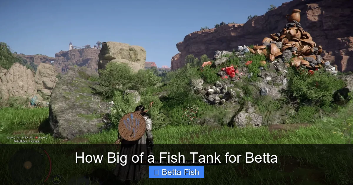 How Big of a Fish Tank for Betta