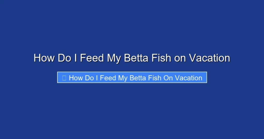 How Do I Feed My Betta Fish on Vacation