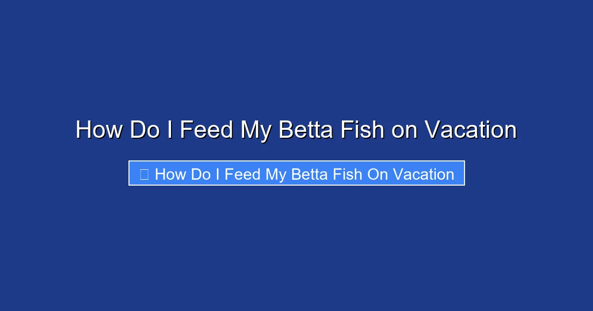 How Do I Feed My Betta Fish on Vacation