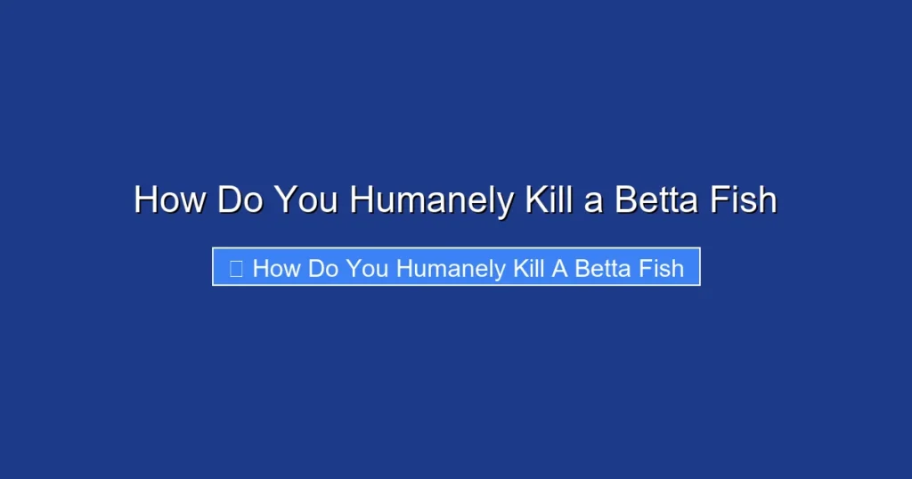 How Do You Humanely Kill a Betta Fish