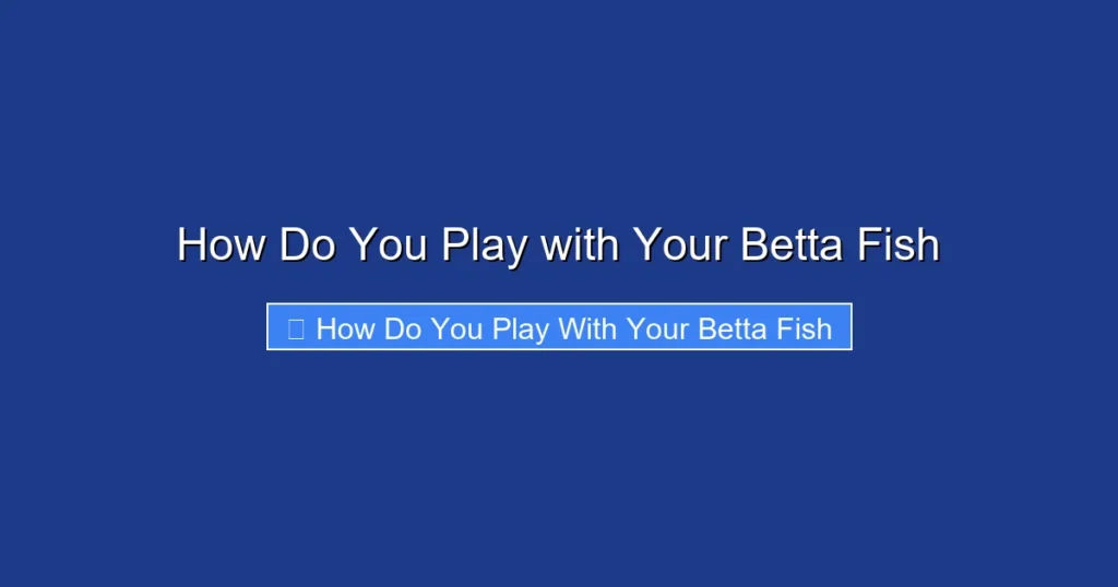 How Do You Play with Your Betta Fish